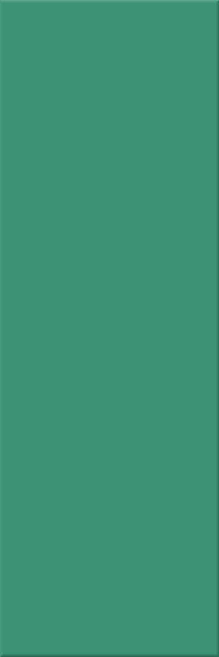 10x30x0,6 Plural türkis aktiv