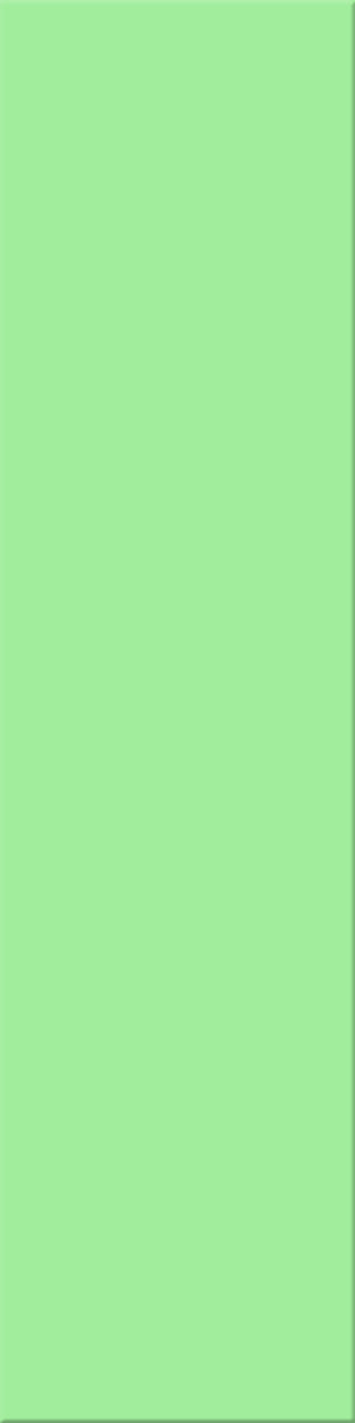 12,5x50x0,8 Plural grün mittel