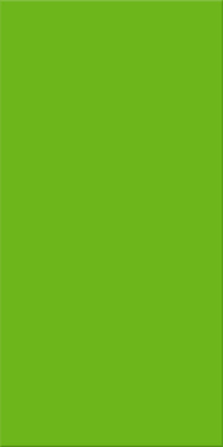 15x30x0,65 Plural grün aktiv