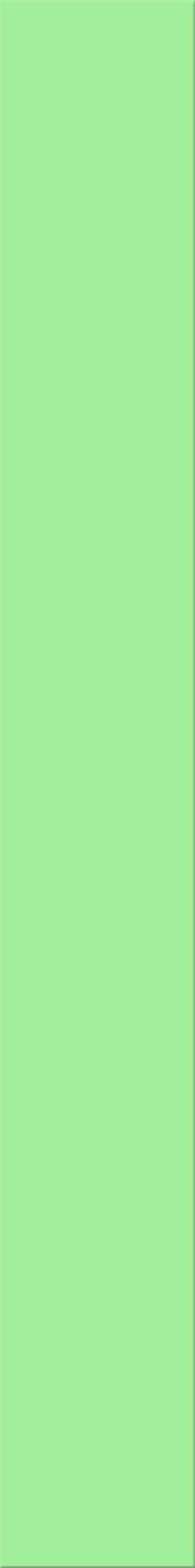 12,5x100x0,8 Plural grün mittel