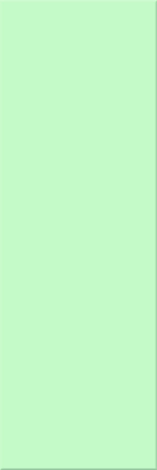 10x30x0,6 Plural grün hell