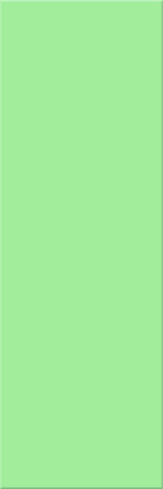 10x30x0,6 Plural grün mittel