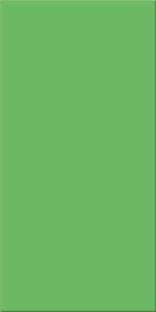 15x30x0,65 Plural grün dunkel