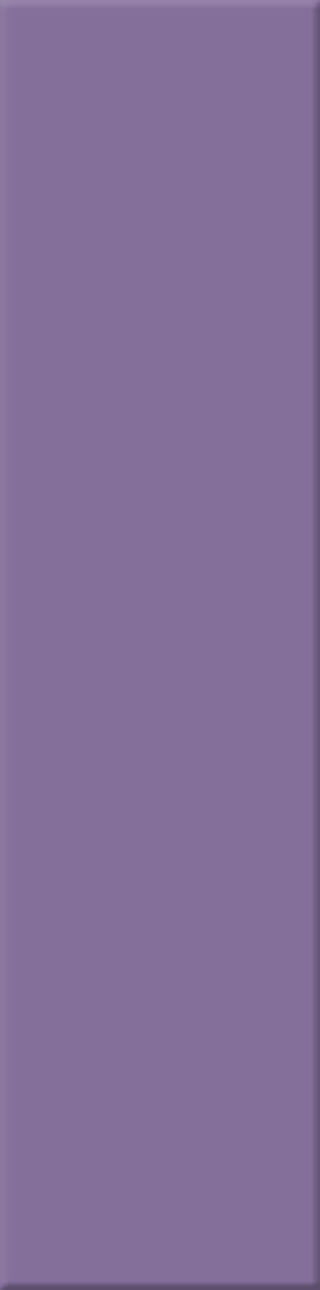 6,2x25x0,6 Chroma violett glänzend