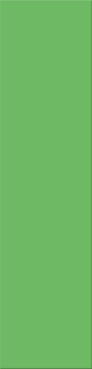 12,5x50x0,8 Plural grün dunkel