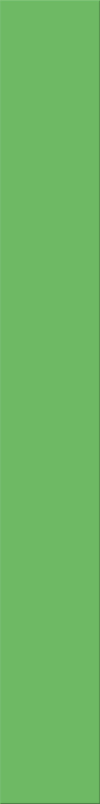 12,5x100x0,8 Plural grün dunkel