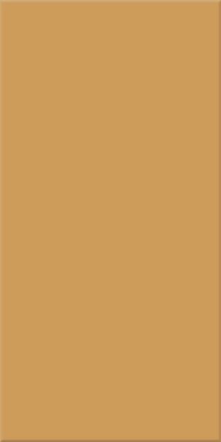 10x20x0,65 Plural ocker mittel