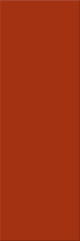 10x30x0,6 Plural lachs aktiv