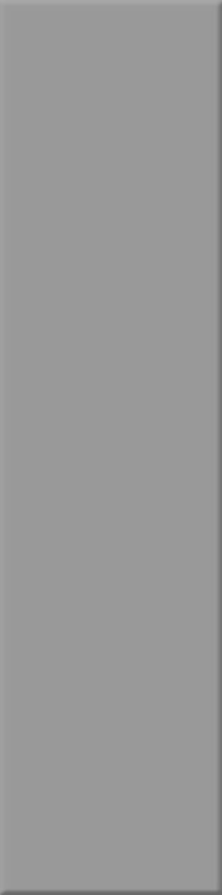 6,2x25x0,6 Chroma steingrau mittel