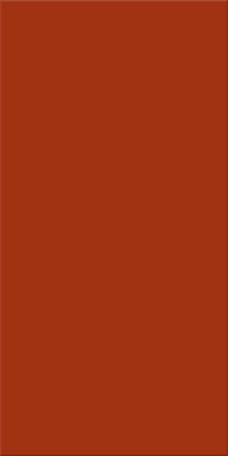 15x30x0,65 Plural lachs aktiv