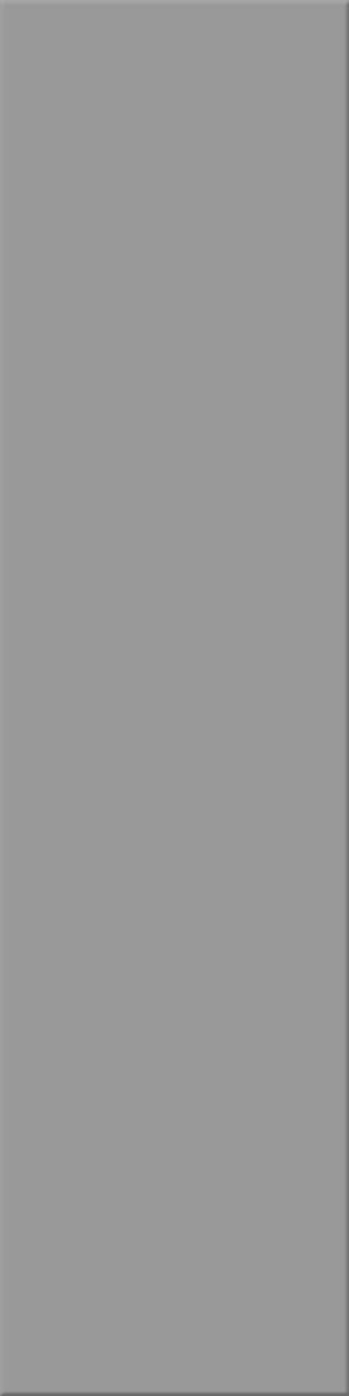 12,5x50x0,8 Plural steingrau mittel