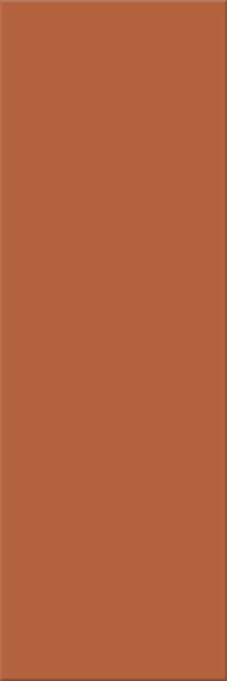 10x30x0,6 Plural lachs dunkel