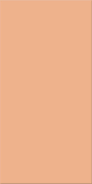 15x30x0,65 Plural lachs hell