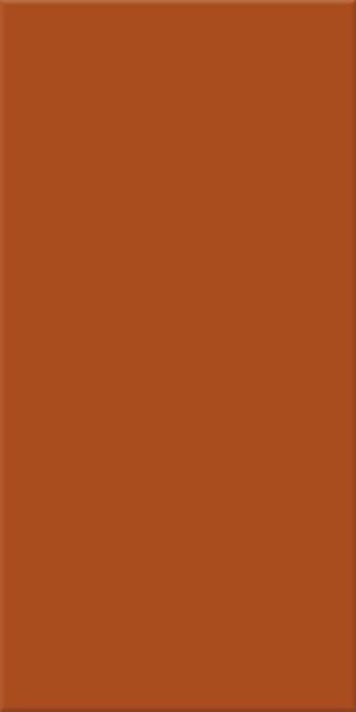 10x20x0,65 Plural lachs aktiv