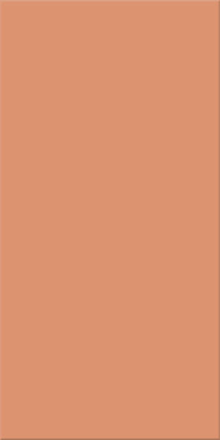 15x30x0,65 Plural lachs mittel