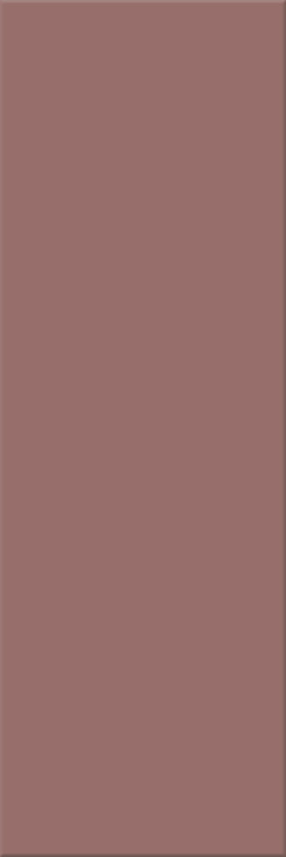 10x30x0,6 Plural oxidrot mittel