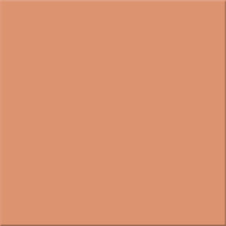 20x20x0,65 Plural lachs mittel