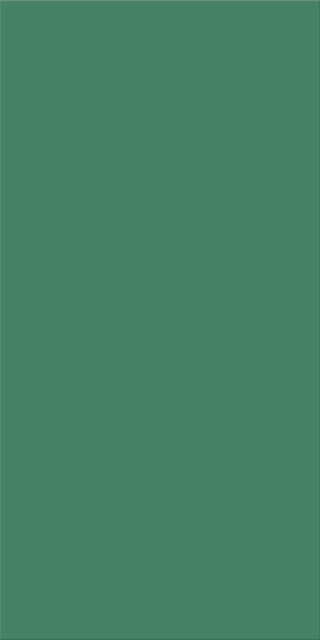 30x60x0,9 Plural seegrün