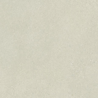 60x60x1,05 Area Pro platin R10/A
