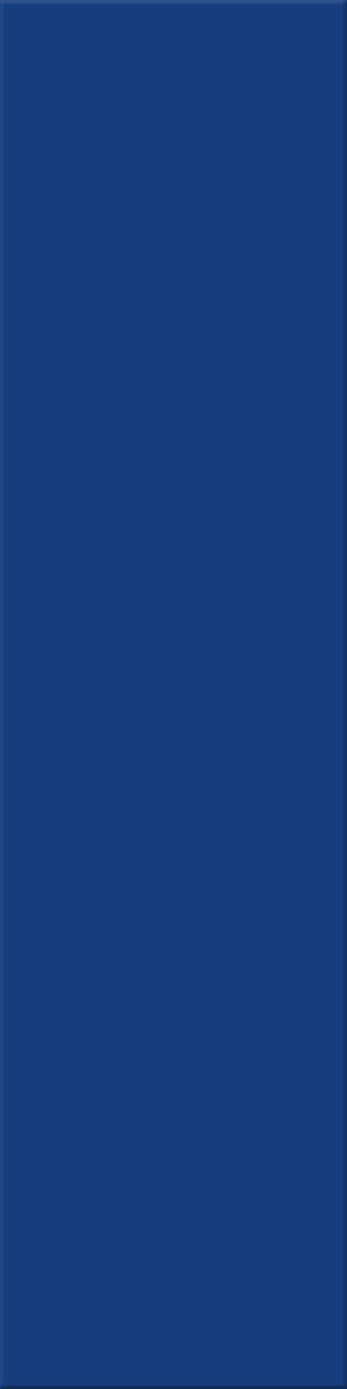 12,5x50x0,8 Plural azur aktiv