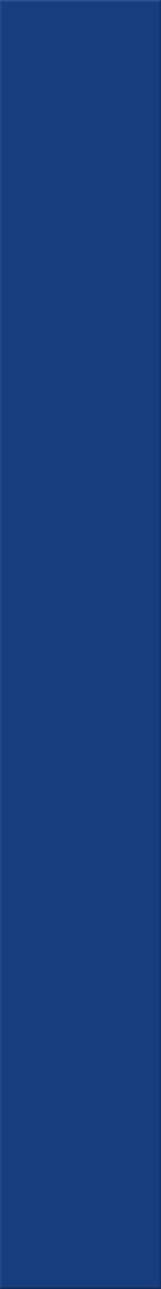 12,5x100x0,8 Plural azur aktiv