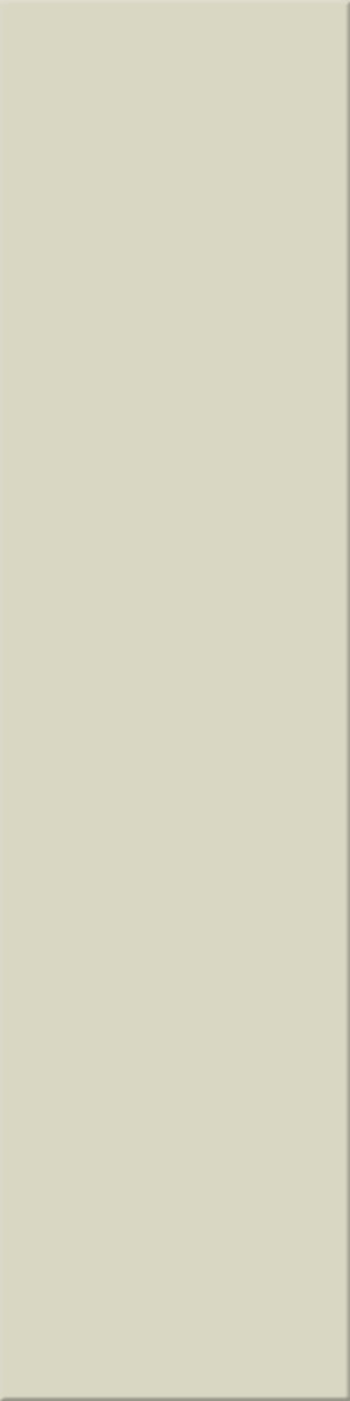 12,5x50x0,8 Plural sandgrau hell