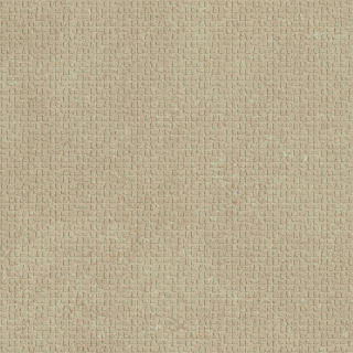 60x60x1,05 Area Pro sandbeige R12V4