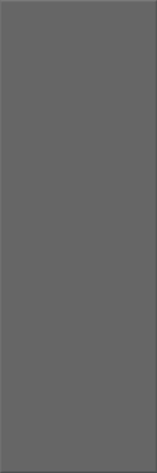 10x30x0,6 Plural steingrau dunkel