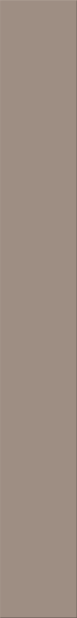 12,5x100x0,8 Plural sandgrau mittel