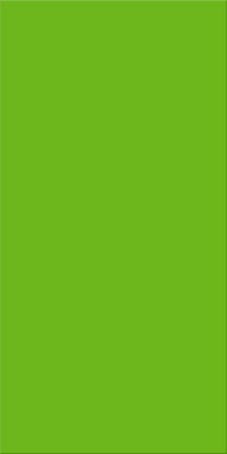 20x40x0,75 Plural grün aktiv