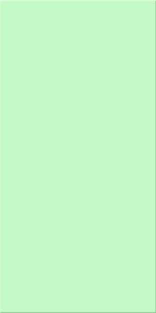 20x40x0,75 Plural grün hell