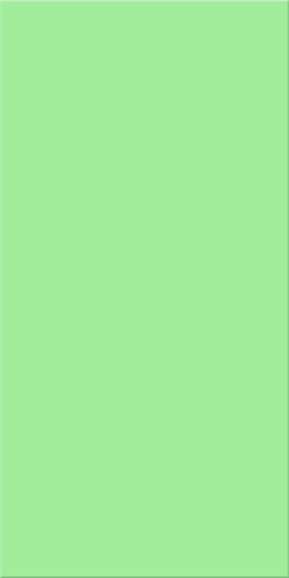 20x40x0,75 Plural grün mittel