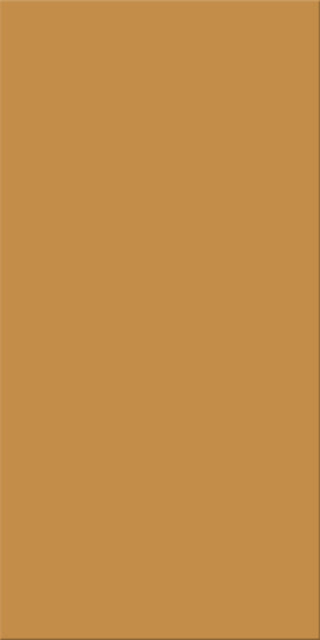 25x50x0,8 Plural ocker mittel