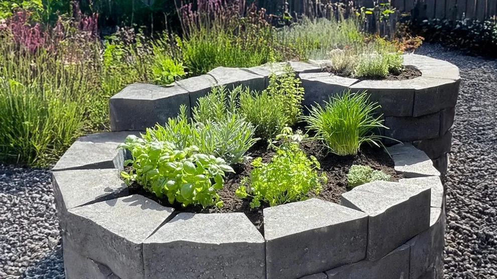 Kräuterbeet mit CO₂-neutralem Betonstein c-ton® MULTI Trapez