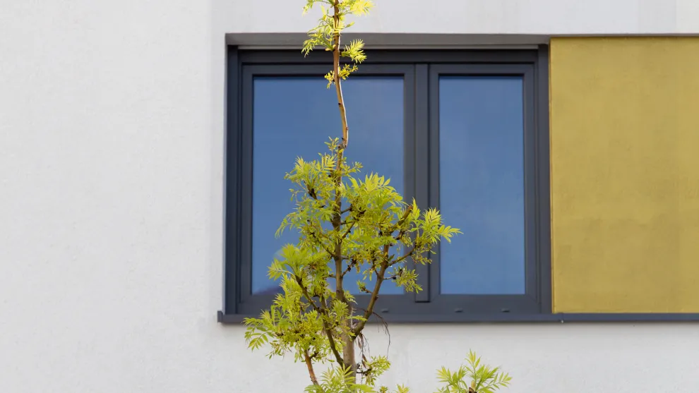 Wegweisende Formensprache trifft technische Perfektion: VEKA SOFTLINE.