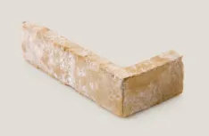 Winkelriemchen