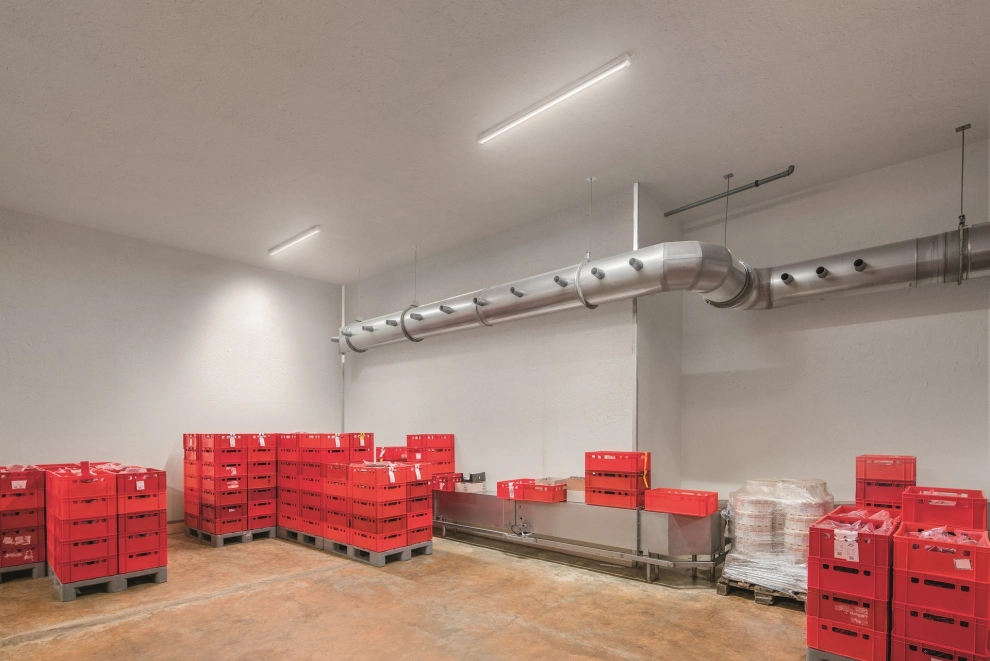 Oleveon Fit LED