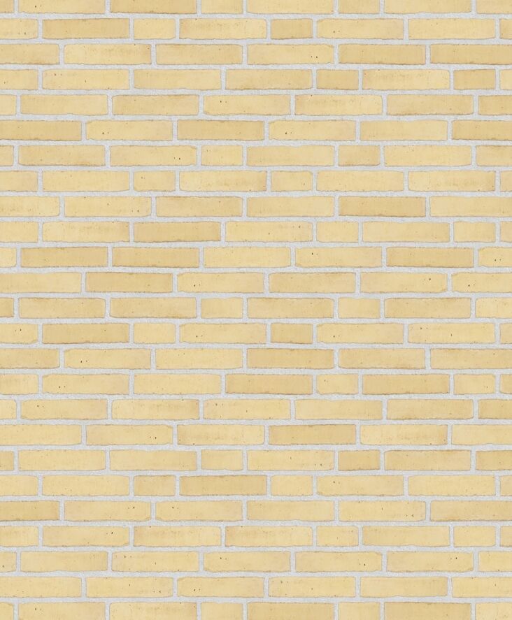 Randers Tegl Vormauerziegel Classica