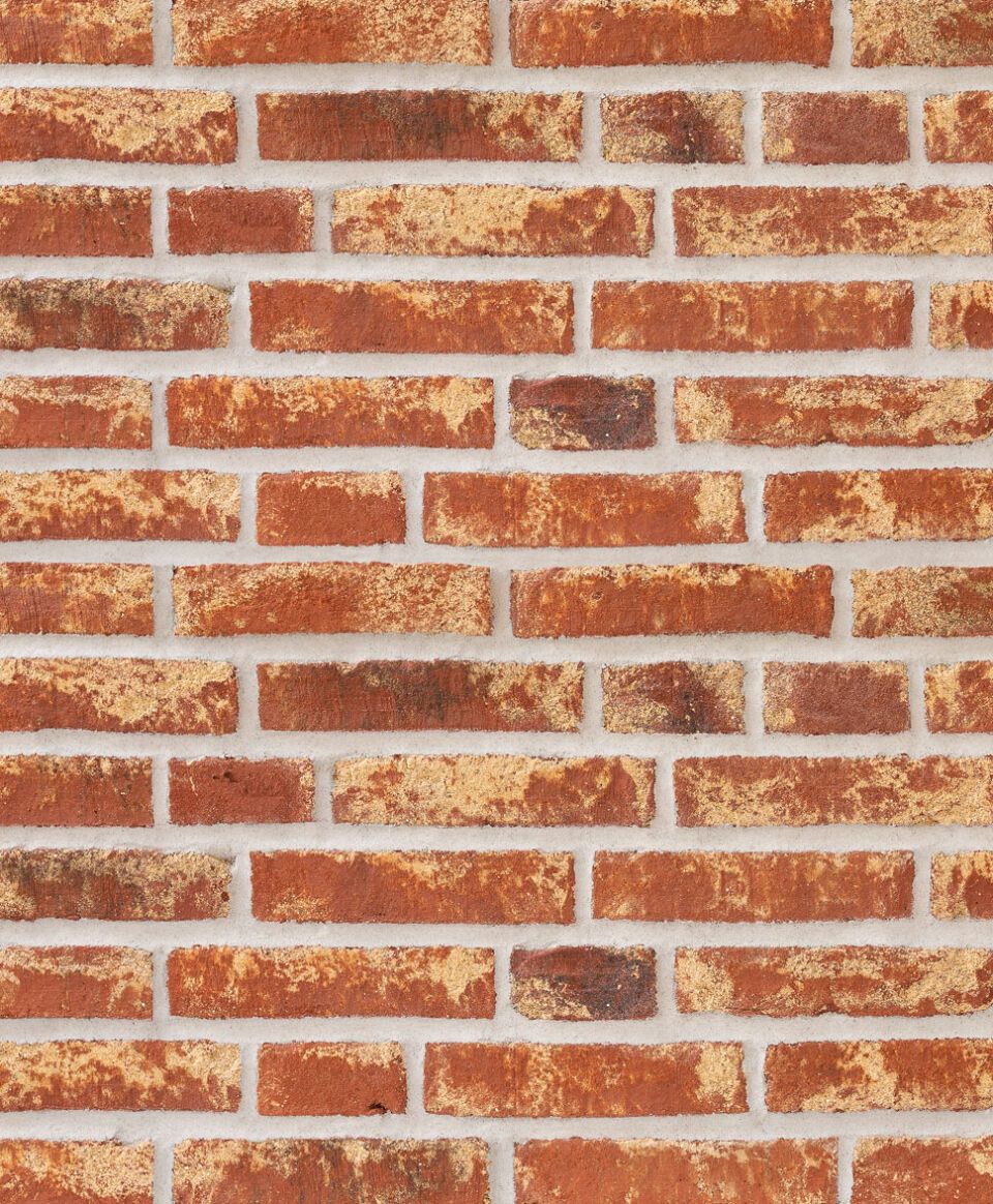 Randers Tegl Vormauerziegel Classica