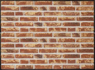 RT 453 Rustica, DE-HF Handformziegel rot Barok