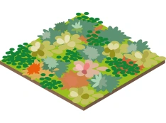 Extensive Vegetation