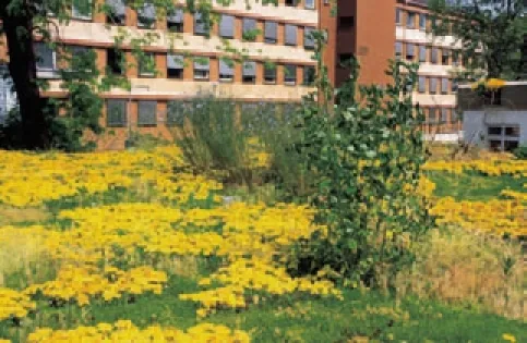 Mit einem Gründach auf Styrodur® lassen sich lebendige Stadtlandschaften realisieren.