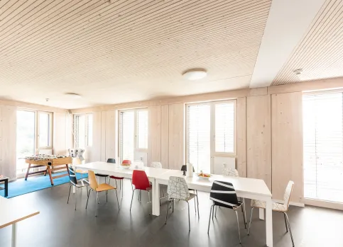 BSH – DECKE AKUSTIK-DESIGN, hier mit der Farbe zartweiß