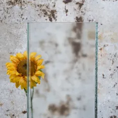 LINIT®EcoGlass Oberflächenart Clarissimo