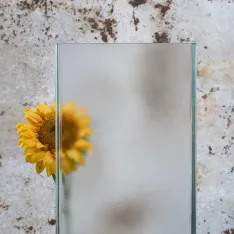 LINIT®EcoGlass Oberflächenart Solar