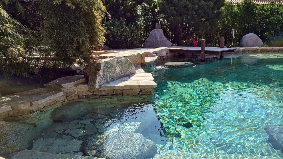 Privater Naturpool in Deutschland, umgesetzt von Eitzenberger Schwimmbadtechnik