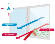 Fensterabbildung Süd/West