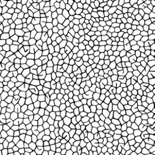 Pilkington Profilit™ T Color Design Decor - Surrounded Pilkington Profilit™ T Color Design Decor - Surrounded