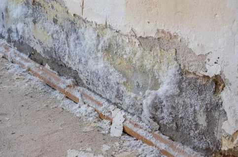 Gegenüber herkömmlichen Kalk- oder Zementputzen werden THERMOPAL Sanierputze nicht durch schädliche Salze im Untergrund beschädigt und von der Wand gedrückt.
