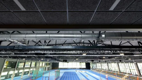 CEWOOD Akustikplatten im versenkten T-Profilraster
